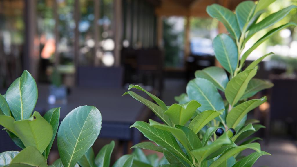 Hotel Badhof Altstätten Pokoj fotografie